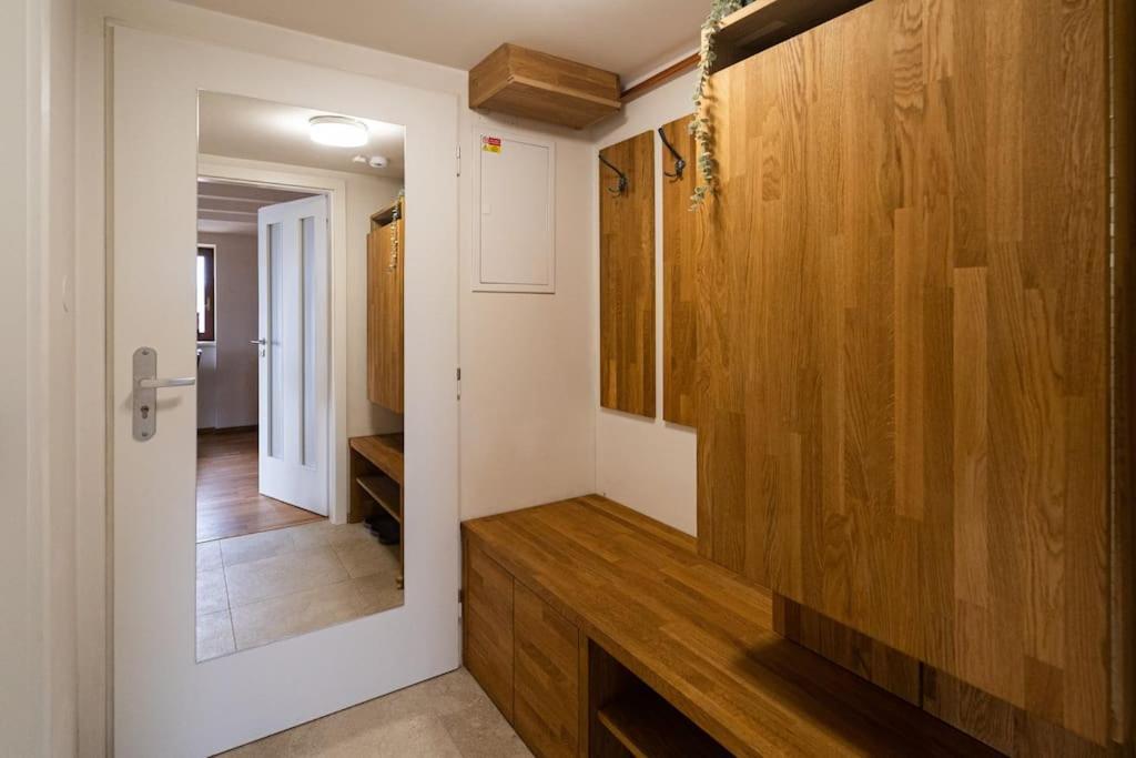 Luxusni Byt S Terasou V Centru Brünn Exterior foto